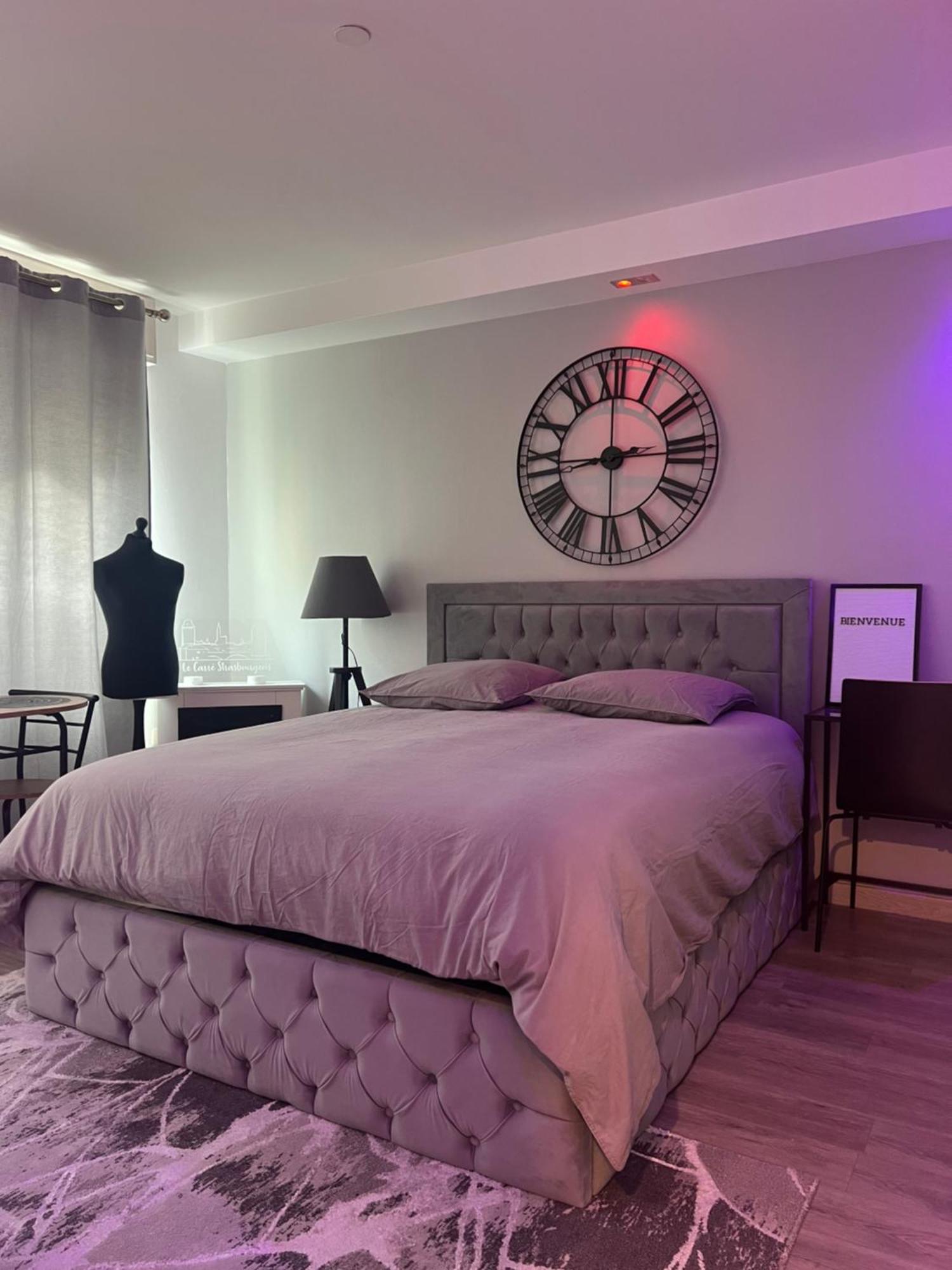 Le Carre Strasbourgeois - Logement Entier Au Centre Du Neudorf F1 Экстерьер фото